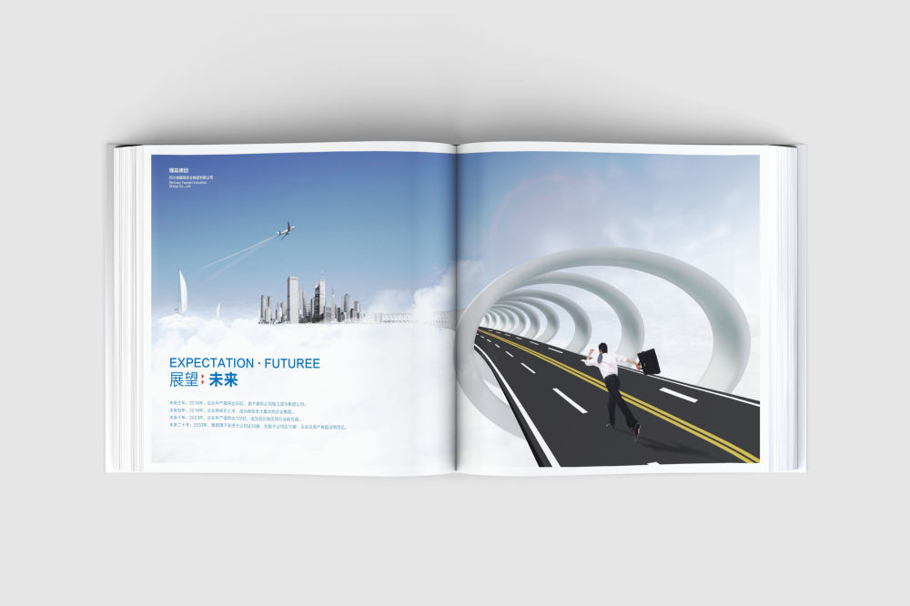 仁和区画册设计